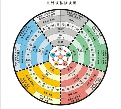 五術命格|五術:五術簡介,五術之山,五術之醫,五術之命,五術之相,。